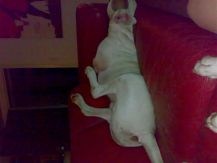 Mærkelige stillinger billede 2