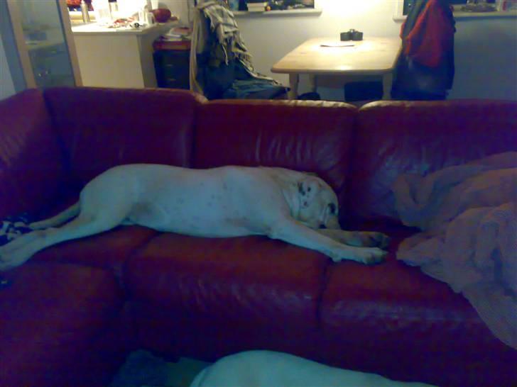 Mærkelige stillinger billede 8