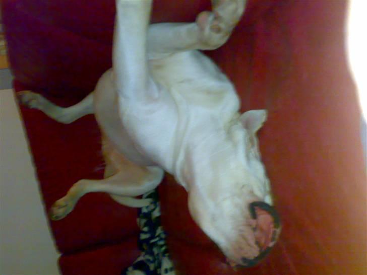 Mærkelige stillinger billede 3