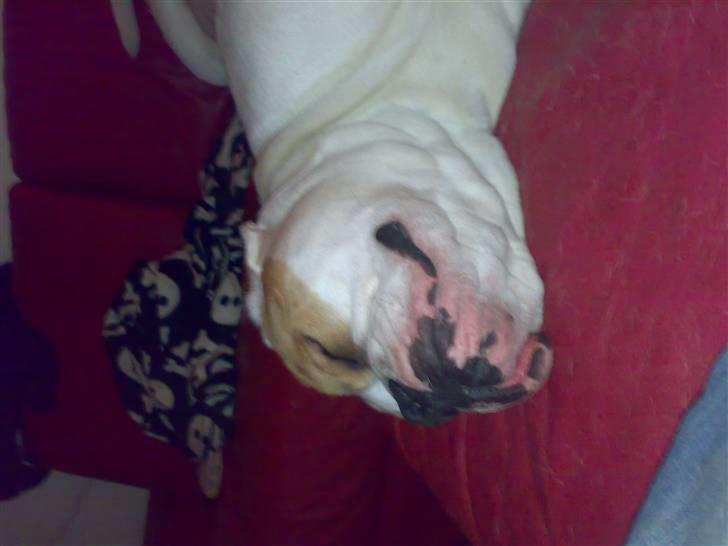 Mærkelige stillinger billede 10