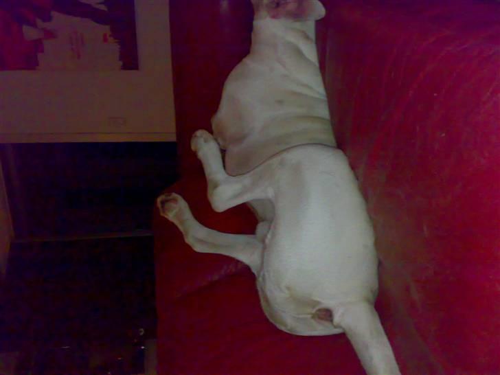 Mærkelige stillinger billede 11