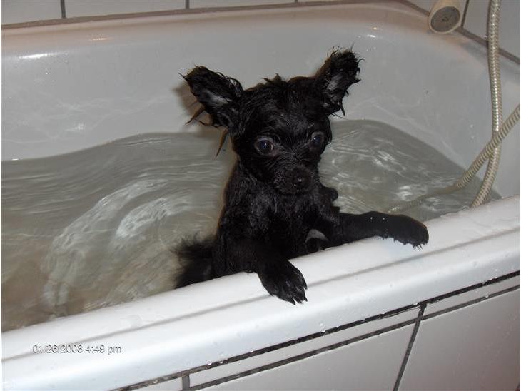 {{currentPhoto.altText}} billede {{currentPhoto.number}}