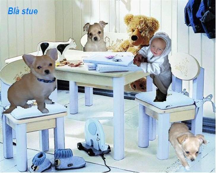 Min amatør/øvelses mappe - Billedkonkurrencen Februar 2008
Tema: Baby billede 1