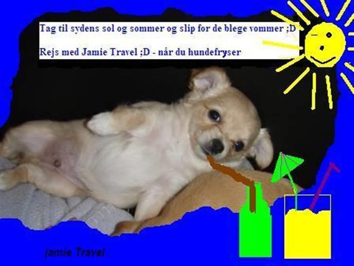 Min amatør/øvelses mappe - Billedkonkurrencen Januar 2008
Tema: Reklame billede 2