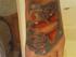 Mine Tattoos...
