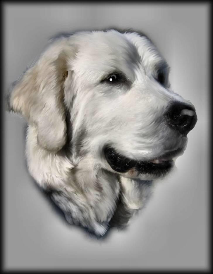 Diverse tegninger og collager... - Athene reaeret af Marianne Sonne feb 2008 billede 5