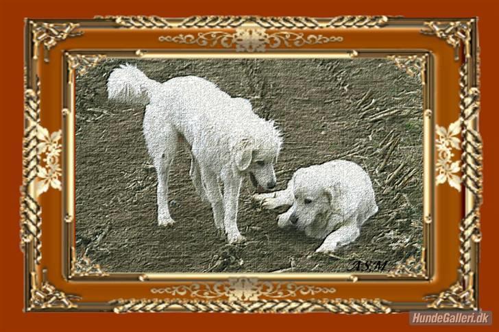 Diverse tegninger og collager... - Flot billede af bamserne lavet til mig fra Annette billede 42