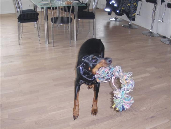 {{currentPhoto.altText}} billede {{currentPhoto.number}}