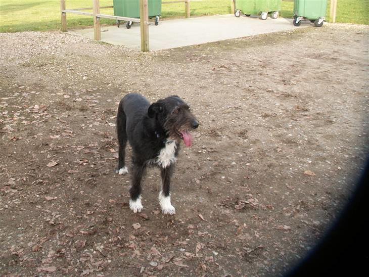 {{currentPhoto.altText}} billede {{currentPhoto.number}}