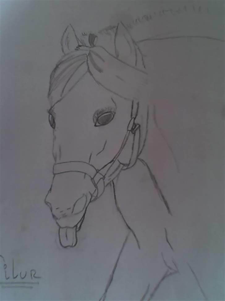 Mine tegninger - En bestilling..Navn: Filur billede 4