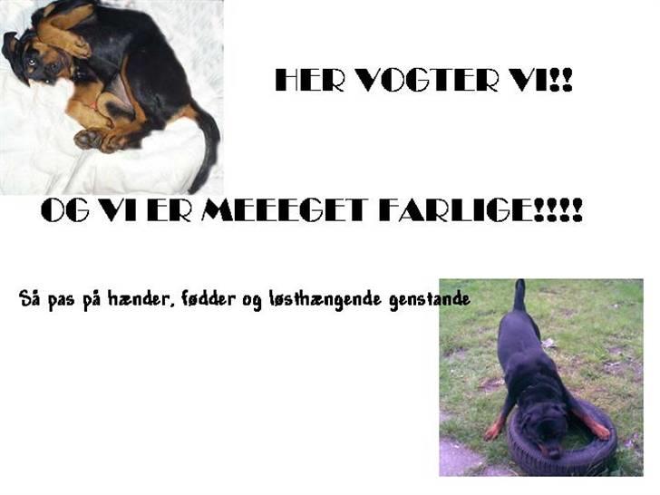 Hyggestunder - Det er så min version af et skilt ;-) billede 6