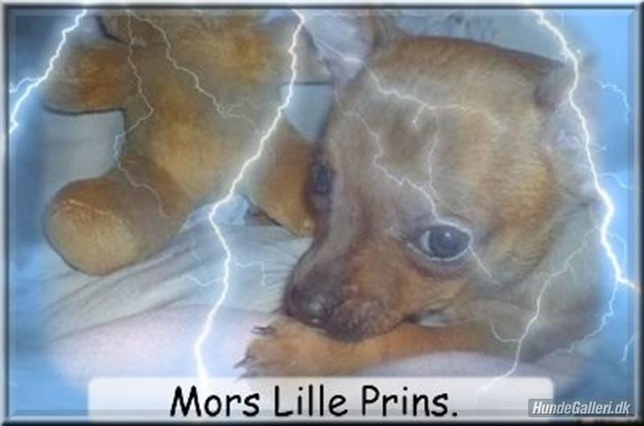 Billeder folk har lavet til mig, af Lasse <3  billede 9