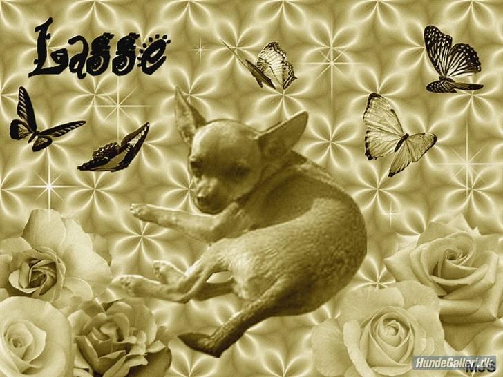 Billeder folk har lavet til mig, af Lasse <3  billede 18