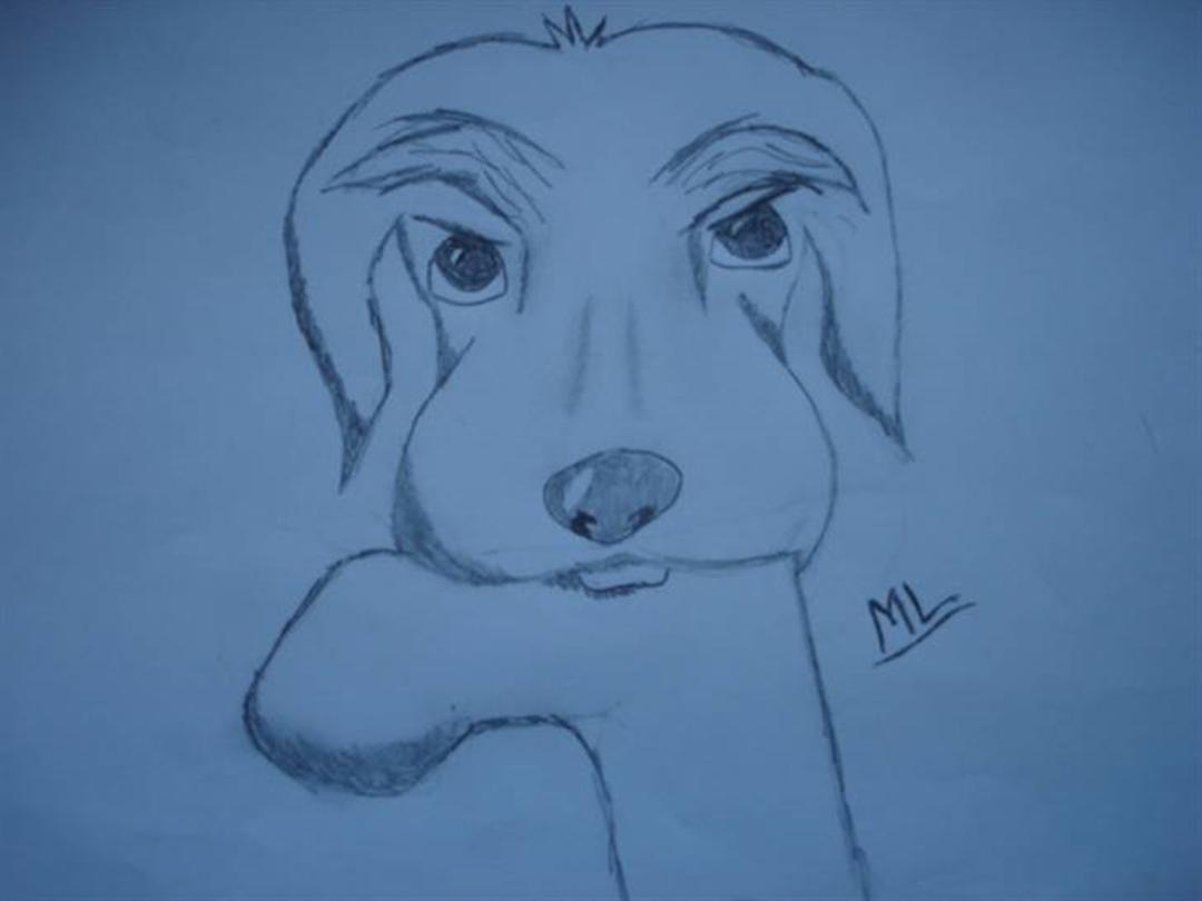 Tegninger Af Hunde ..! - Tegninger - af Riia -- NYT --
