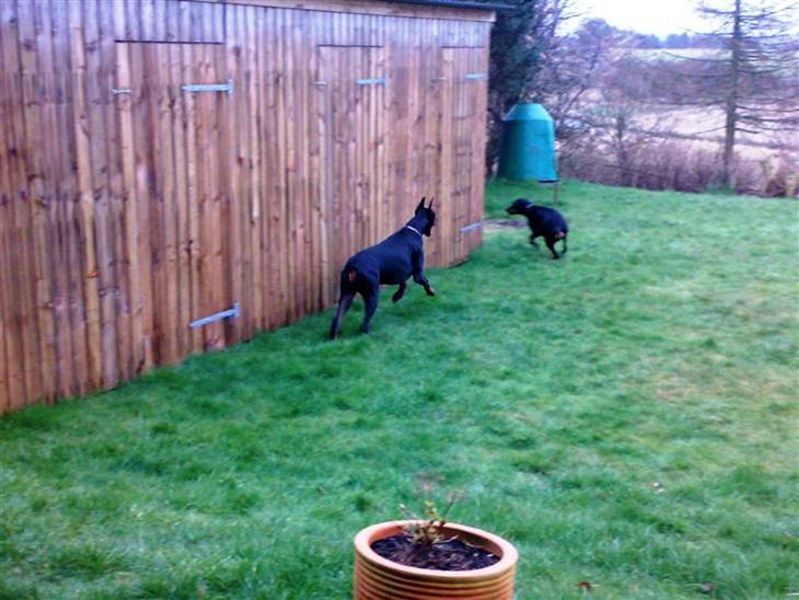 {{currentPhoto.altText}} billede {{currentPhoto.number}}