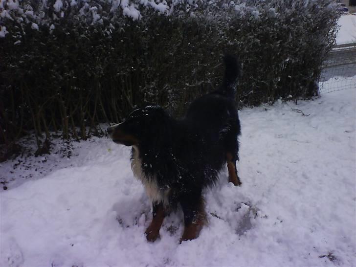 Nye billeder (Påske og vinter) - Leg nu med mig billede 4