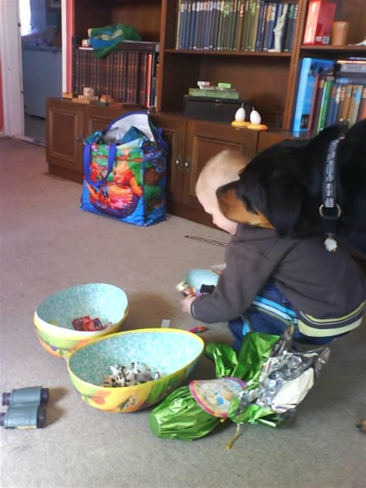 Nye billeder (Påske og vinter) - Cobra og Nichlas har fundet påskeæg hos mormor og morfar  :-)
"Skal jeg hjælpe dig Nicklas" billede 7