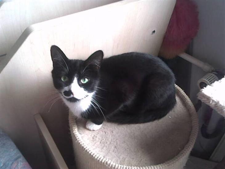 {{currentPhoto.altText}} billede {{currentPhoto.number}}