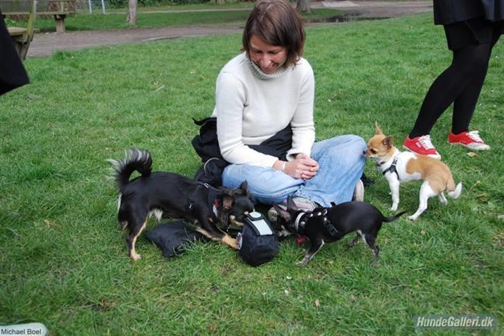 Hans Tavsens park den 12/4-08 - Hvad gemmer du der Stine..?? billede 10