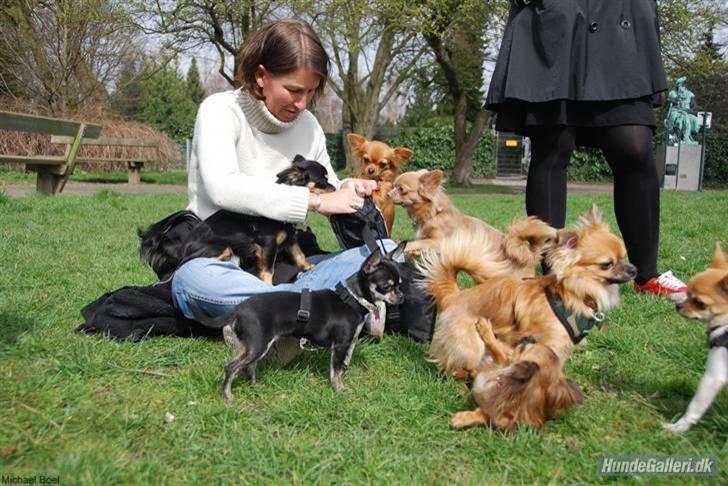 Hans Tavsens park den 12/4-08 billede 11