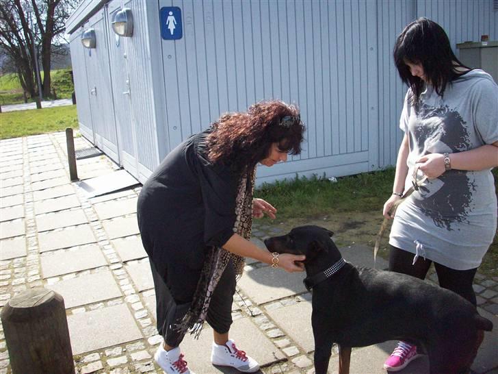 Boss til 90 års fødselsdag - Gensynsglæde med "mor", vi har jo ikke set hinanden siden vi kørte hjemmefra. ufattelig længe siden ik? billede 2