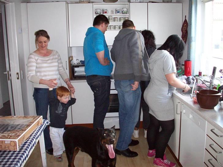 Boss til 90 års fødselsdag - Uha, alle de mennesker i køkkenet... mon ikke jeg lige kan hjælpe med noget.... smage et eller andet kage guf til måske? billede 4