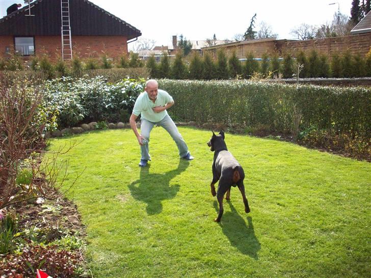 Boss til 90 års fødselsdag - Jaaaae "far" du kan også godt være med, kast nu bare, jeg griber! billede 6