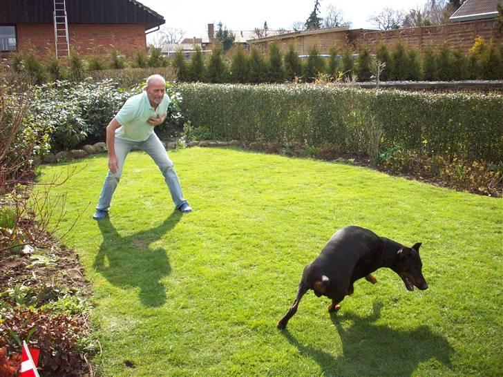 Boss til 90 års fødselsdag - Se bare der! jeg kommer da på landsholdet en skønne dag, helt ude ved stolpen tog jeg den ... næsten billede 7