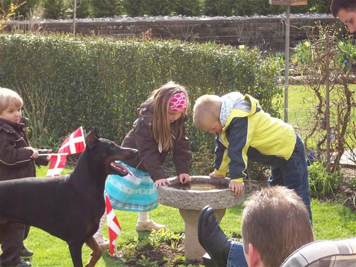 Boss til 90 års fødselsdag - Hvad så unger.... skal vi spille eller pjasker i bare med vand???? har i ikke set jeg er klar med en bold??? billede 9