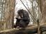 Aalborg Zoo med hundene - Hvor er de søde - mon de fryser..