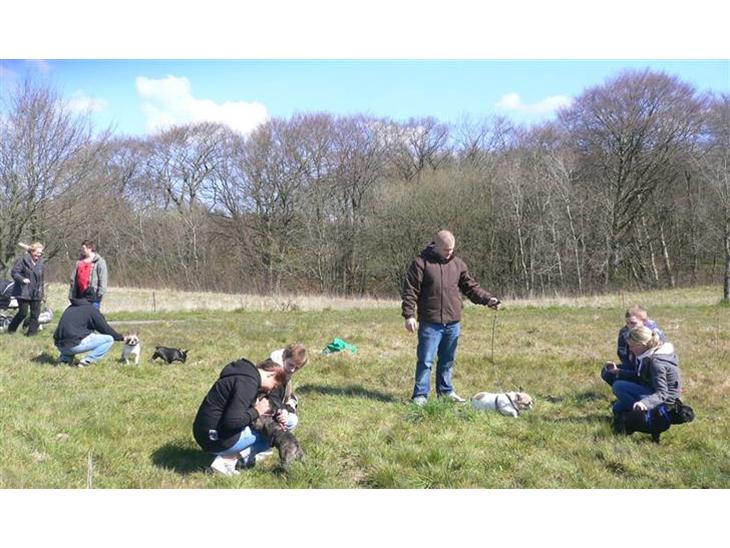 {{currentPhoto.altText}} billede {{currentPhoto.number}}