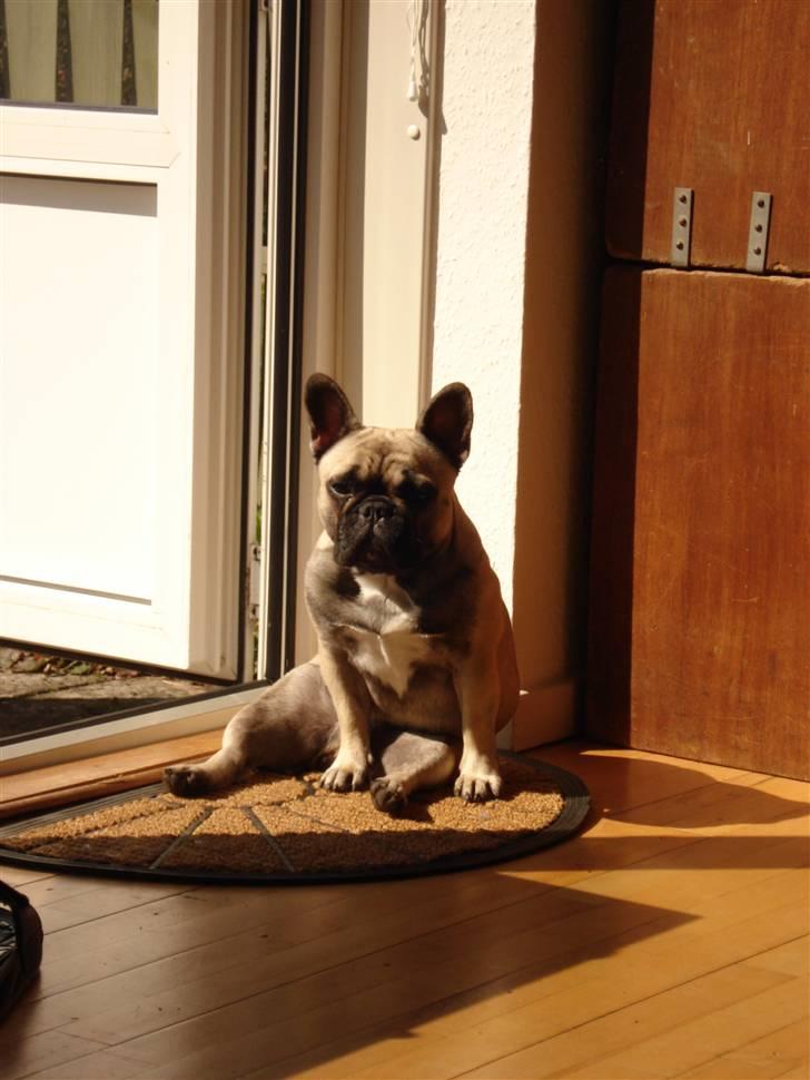 Sidde pænt billede 2