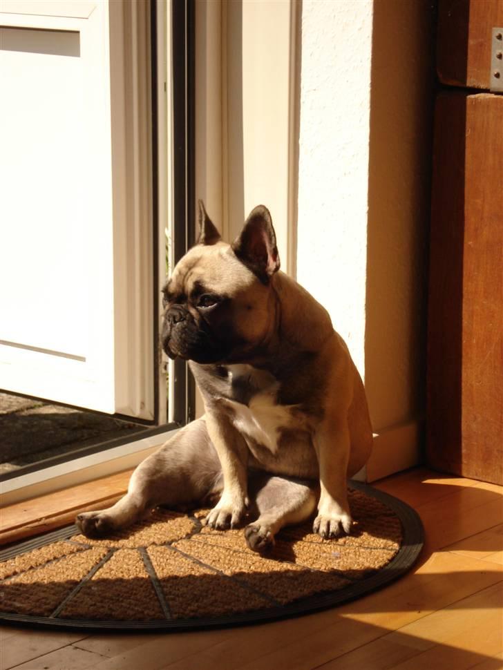 Sidde pænt billede 3