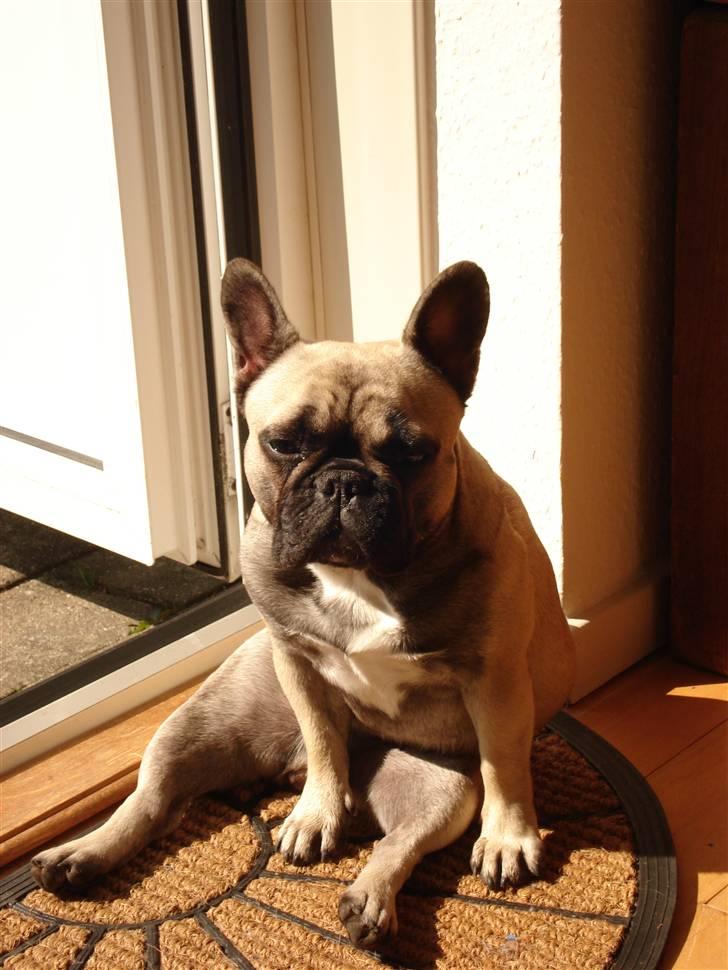 Sidde pænt billede 4