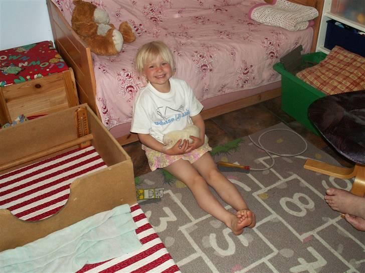 Ida og boxerhvalpe billede 46