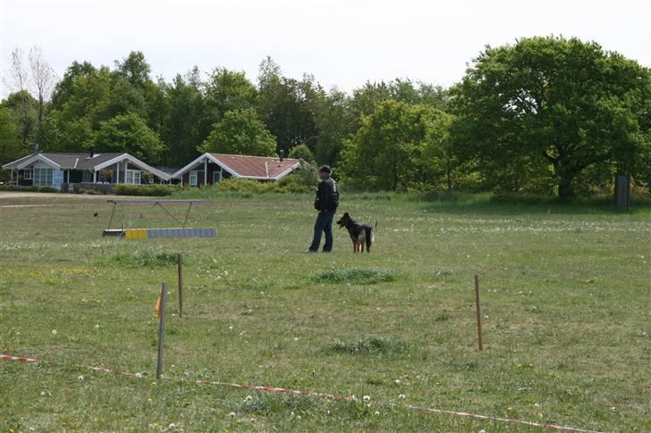 DCH-Odder Forårskonkurrence billede 39