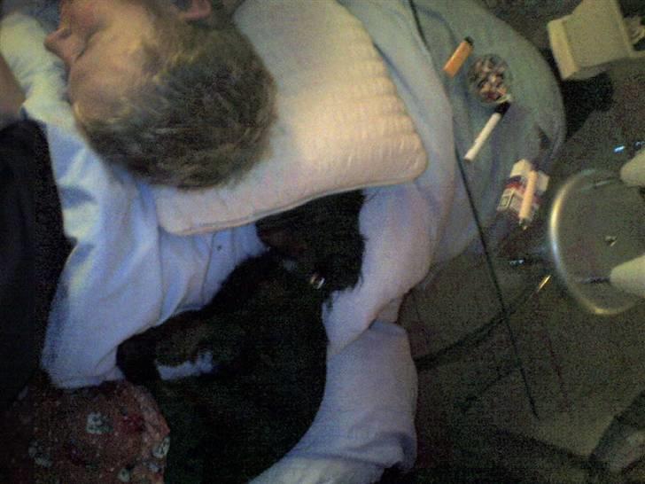 Min mor og far - Vi får os lige en lille lur på mors skød billede 7