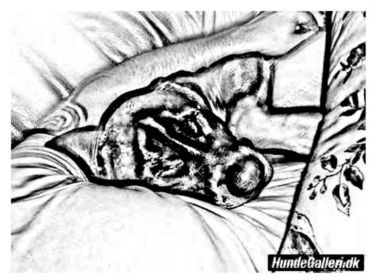 Tegninger :-) - Shiva billede 6