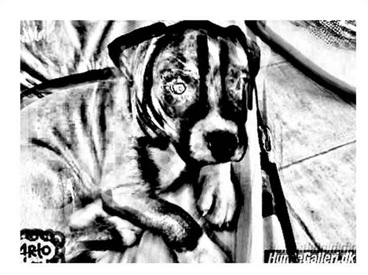 Tegninger :-) - Shiva billede 7