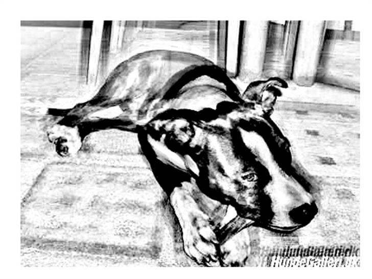 Tegninger :-) - Teaka billede 9