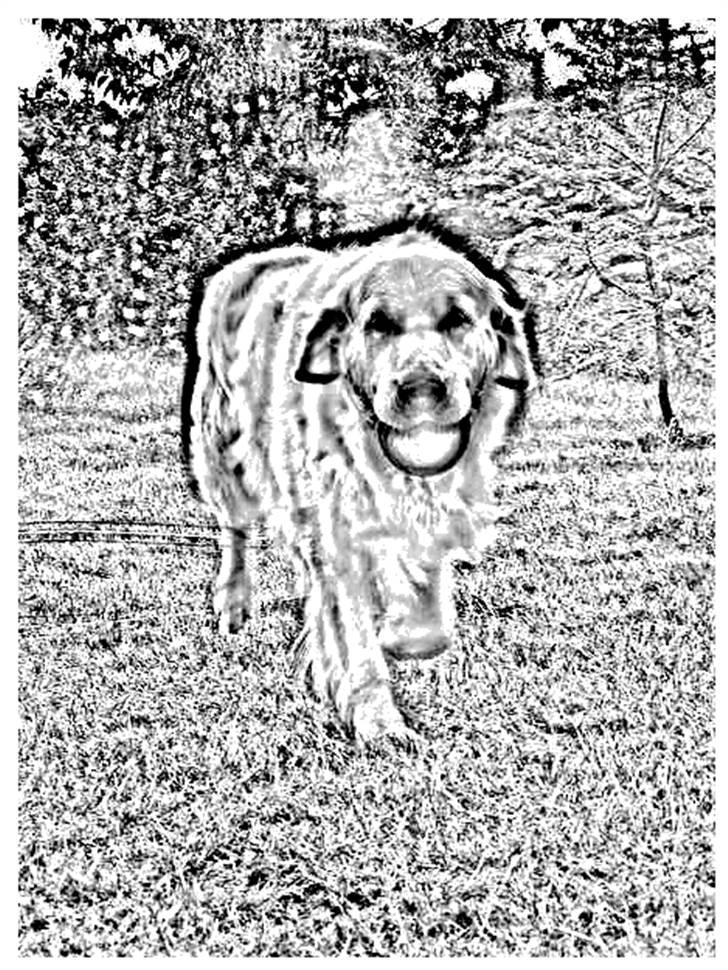 Tegninger :-) - Arki billede 4