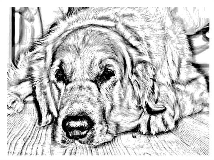 Tegninger :-) - Arki billede 3