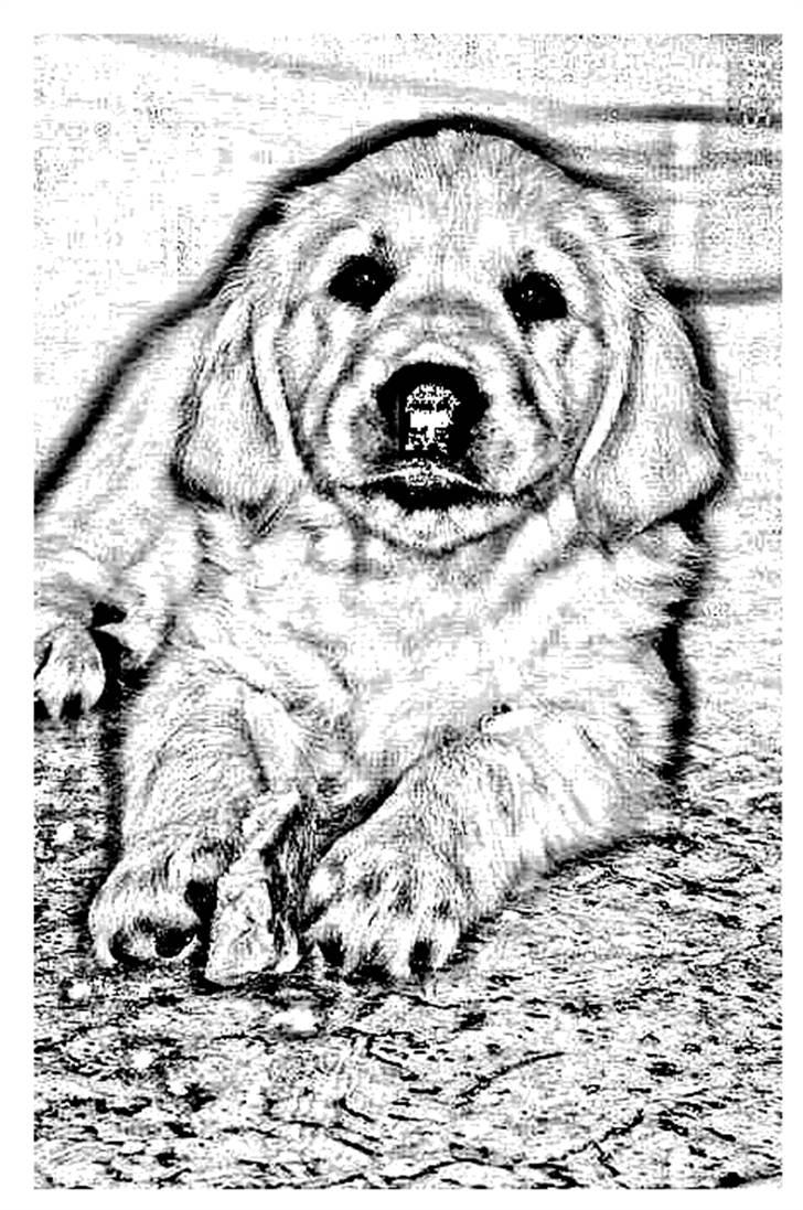 Tegninger :-) - Arki billede 1