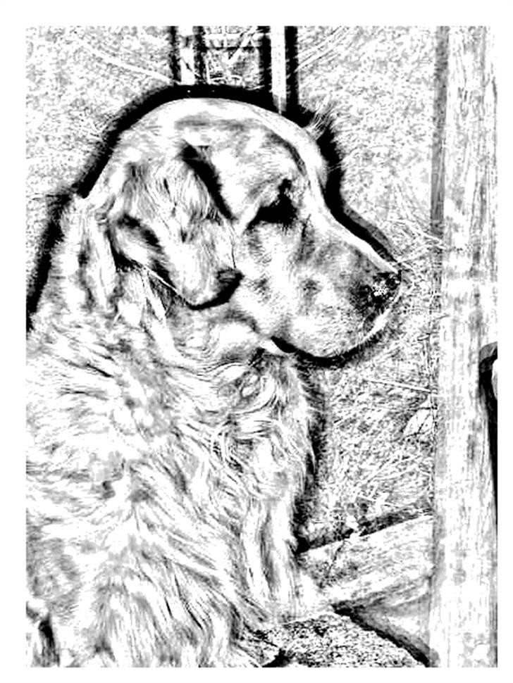 Tegninger :-) - Arki billede 2