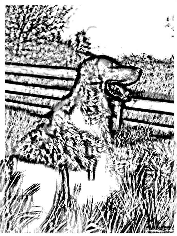 Tegninger :-) - Joker :-) billede 13