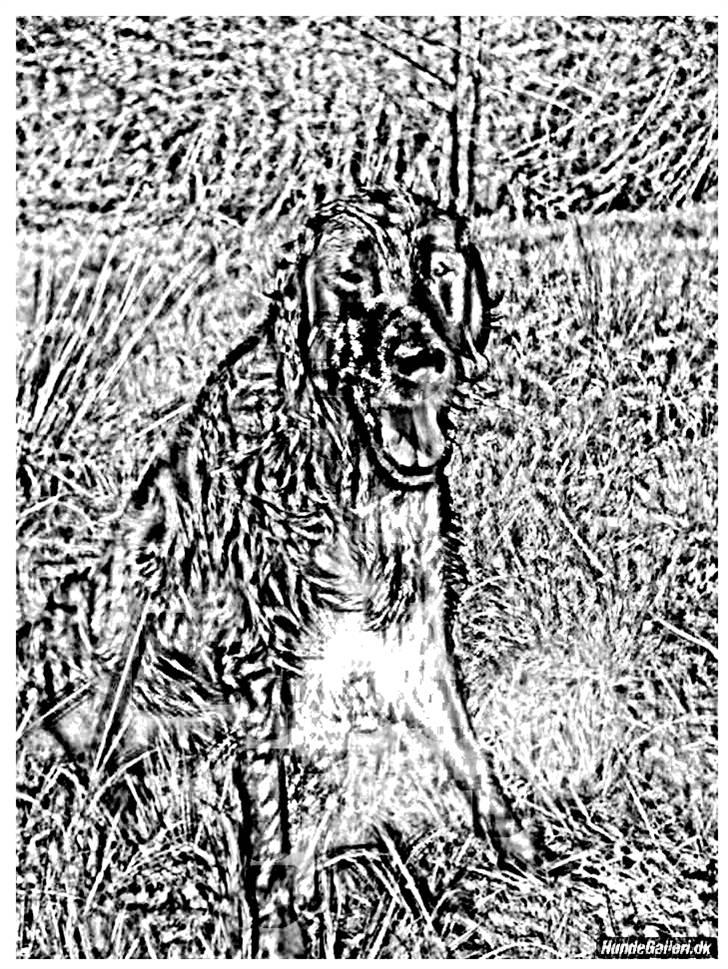 Tegninger :-) - Joker billede 14