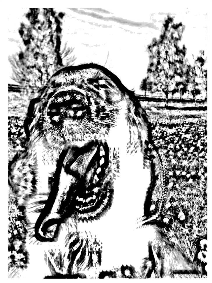 Tegninger :-) - Joker billede 15