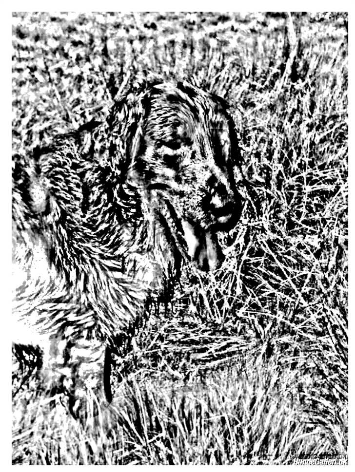 Tegninger :-) - Joker billede 16