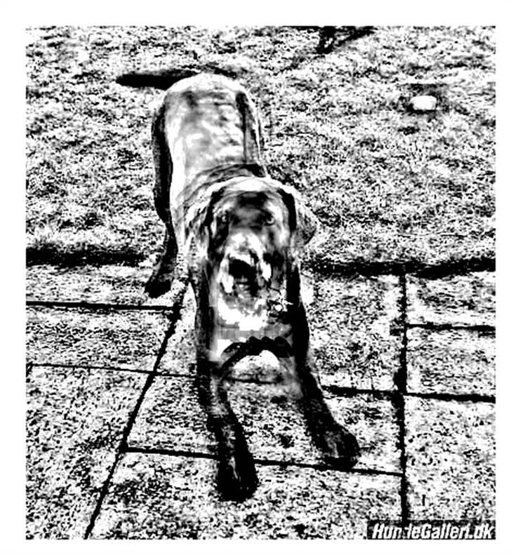 Tegninger :-) - Bella-piin :-) billede 20