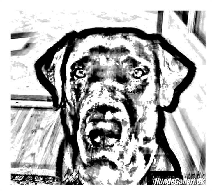 Tegninger :-) - Bella billede 21